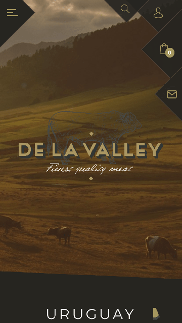 Branding, Naming, Logo Design et création Web pour la marque DE LA VALLEY - Réalisation du site internet www.delavalley.com - 4