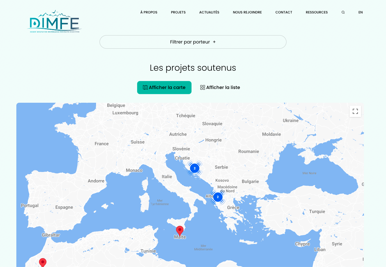 DIMFE - Création du site internet - 2