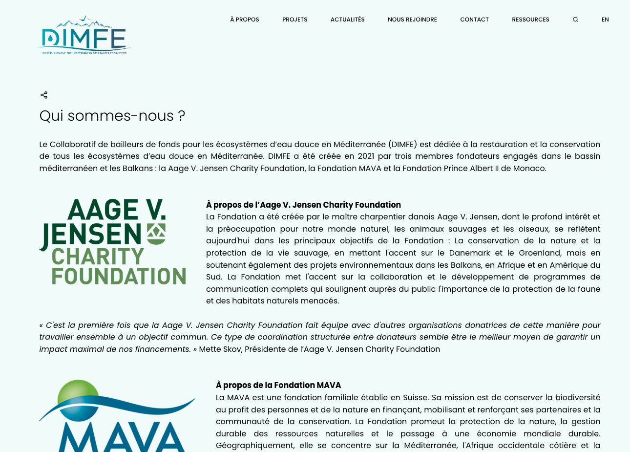 DIMFE - Création du site internet - 3