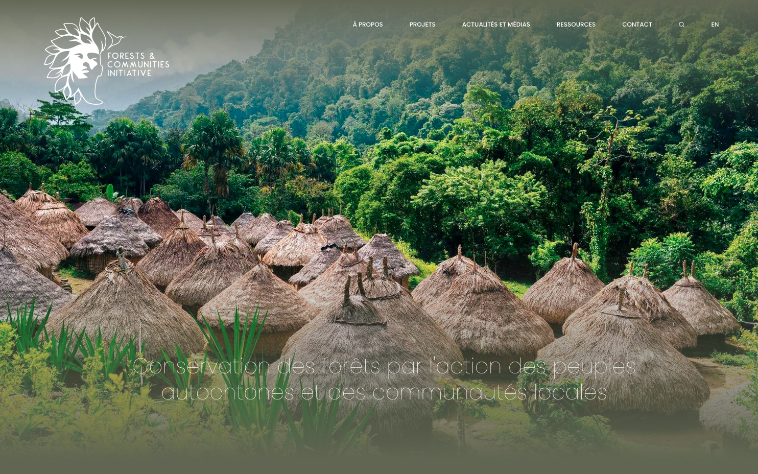 Forests & communities Initiative - Création du site internet