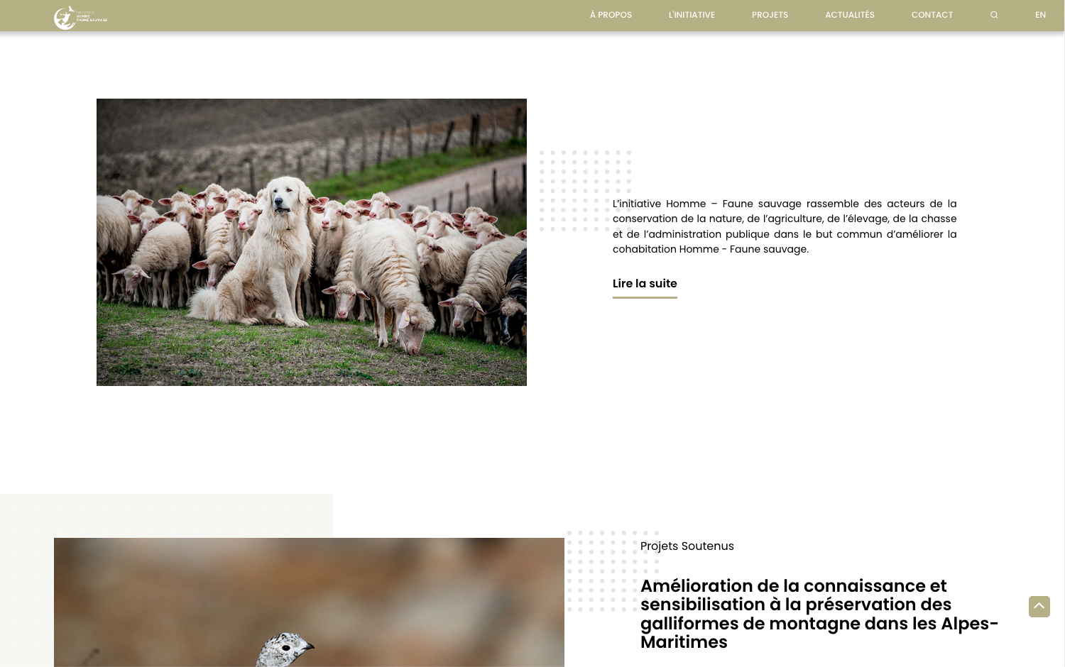 Initiative Homme Faune Sauvage - Création du site internet - 1