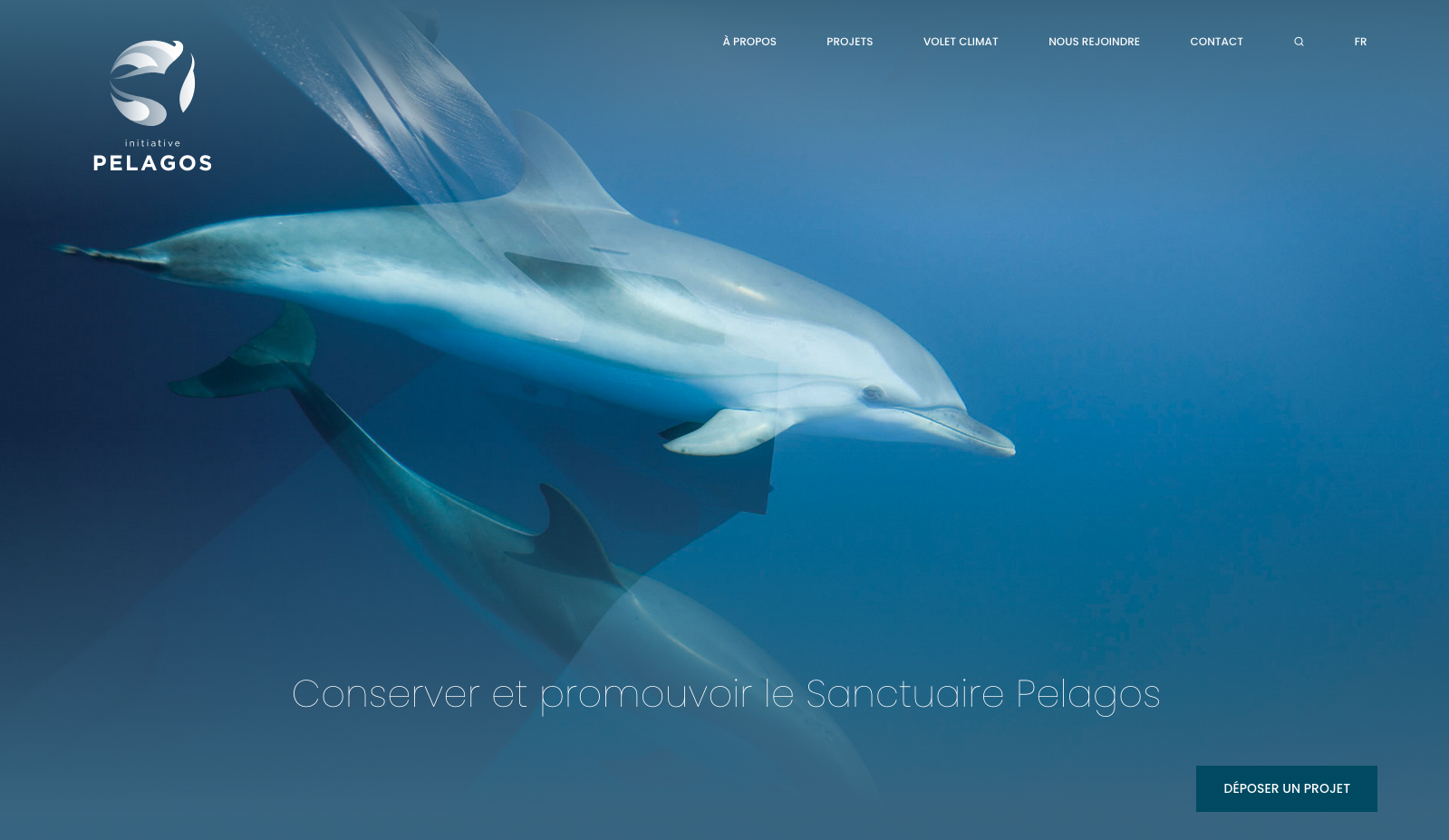 Initiative Pelagos - Création du site internet