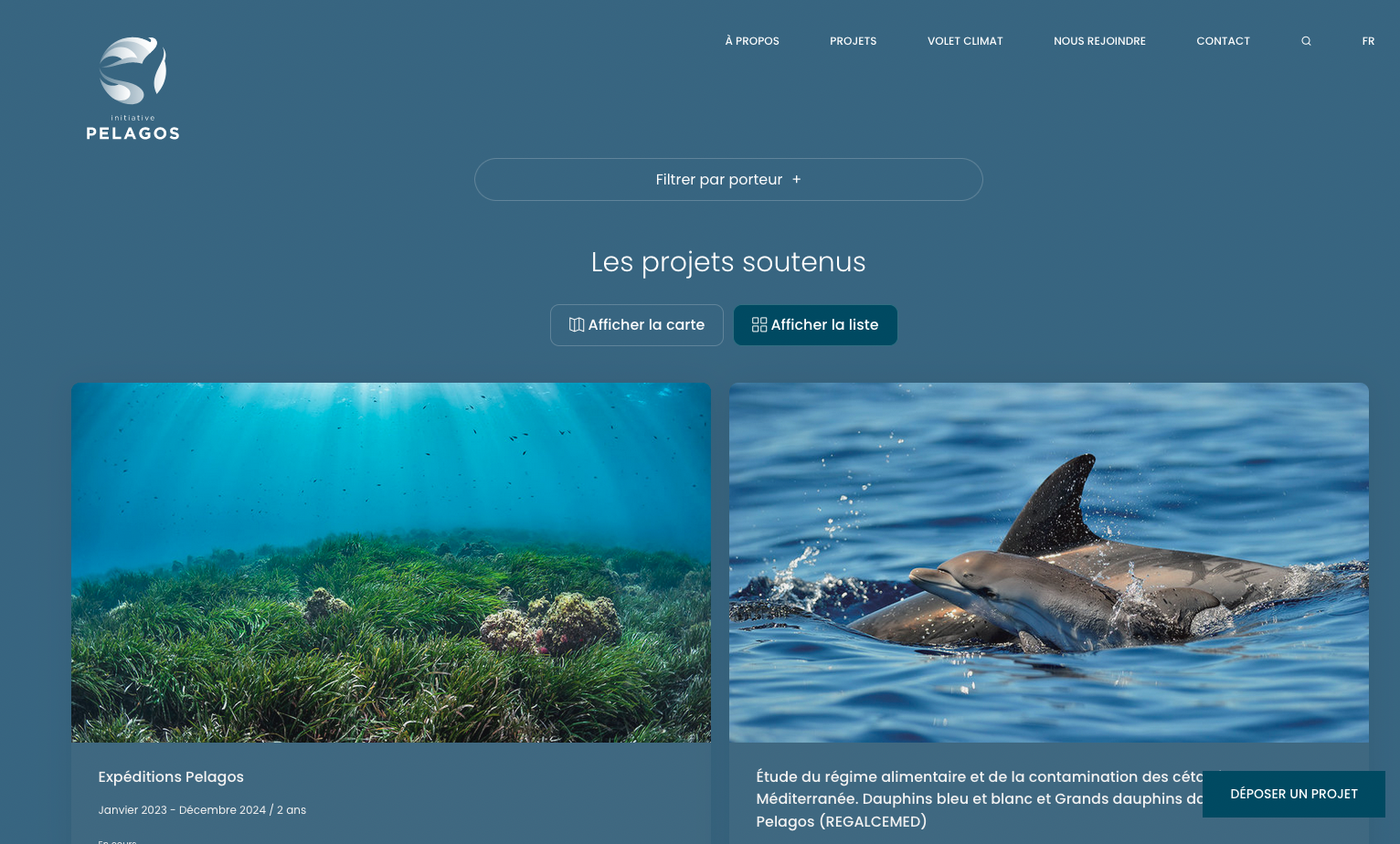 Initiative Pelagos - Création du site internet - 1