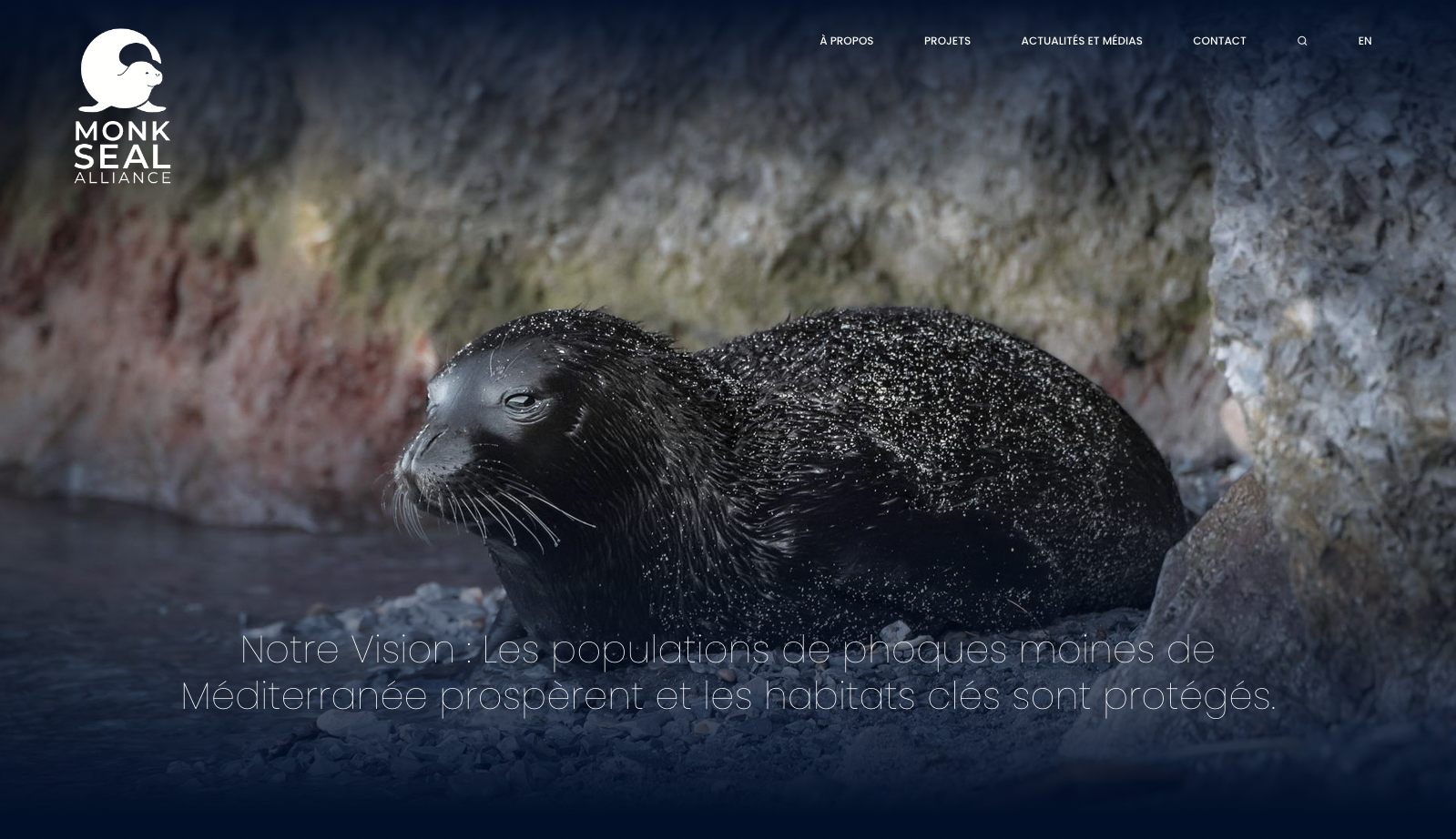 Monk Seal Alliance - Création du site internet
