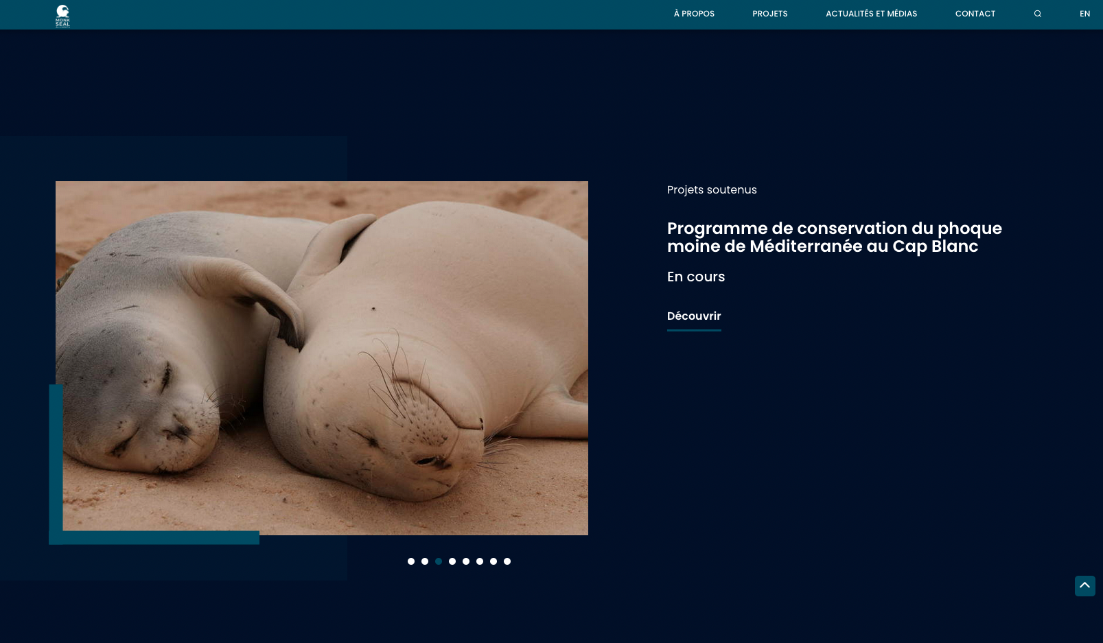 Monk Seal Alliance - Création du site internet - 1