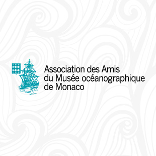 Snapper Club - Agence Colibri, Design, Publicité, Web - Les Amis du Musée  - 3