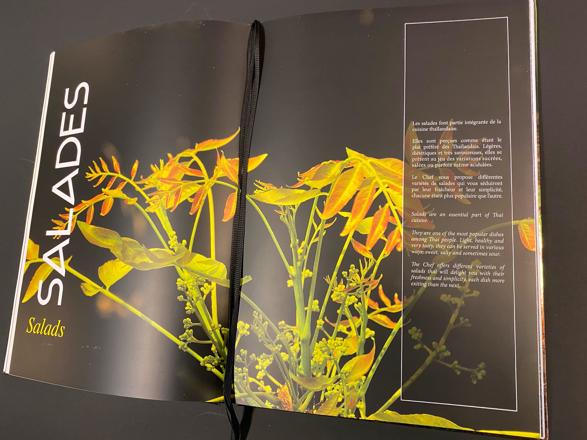 Maya Bay - Petrossian - Agence Colibri, Design, Publicité, Web - Conception du livre menu 2019  - 2