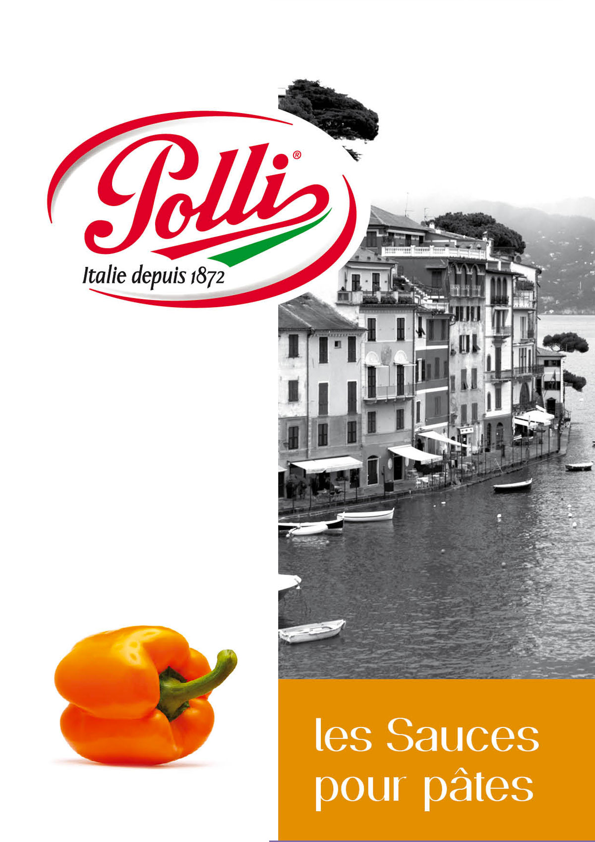 Polli - Agence Colibri, Design, Publicité, Web - Accompagnement stratégique et campagne de communication - 9